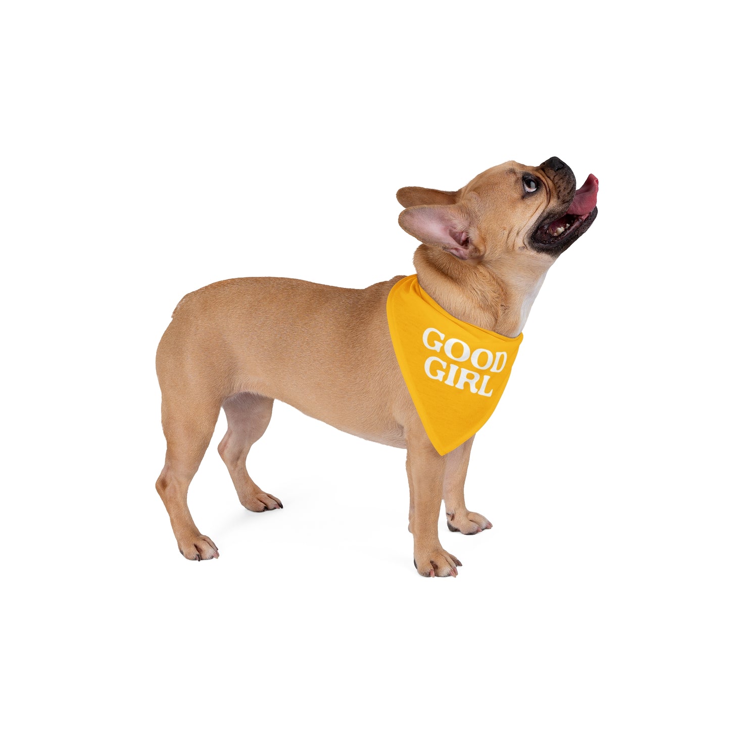 Good Girl Pet Bandana Yellow
